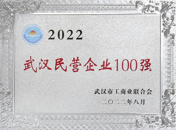 2022武汉民企100强公布！